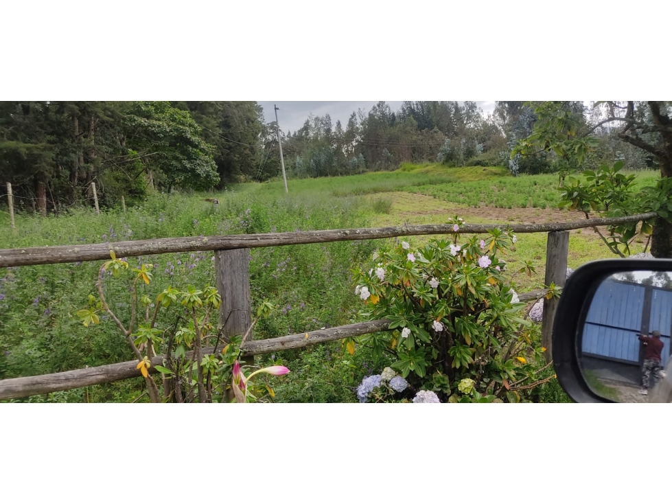 PROPIEDAD UNICA EN OTAVALO 4 HECTAREAS - 5