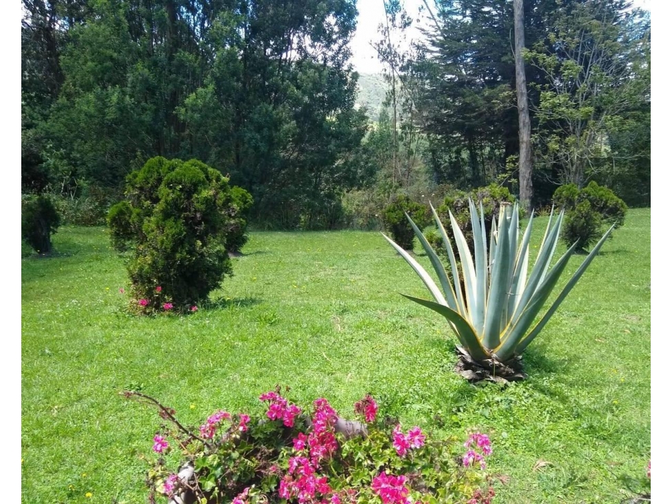 HACIENDA EN VENTA EN OTAVALO - 5