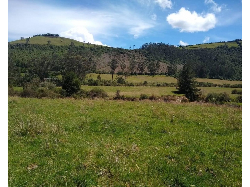 HACIENDA EN VENTA EN OTAVALO - 3