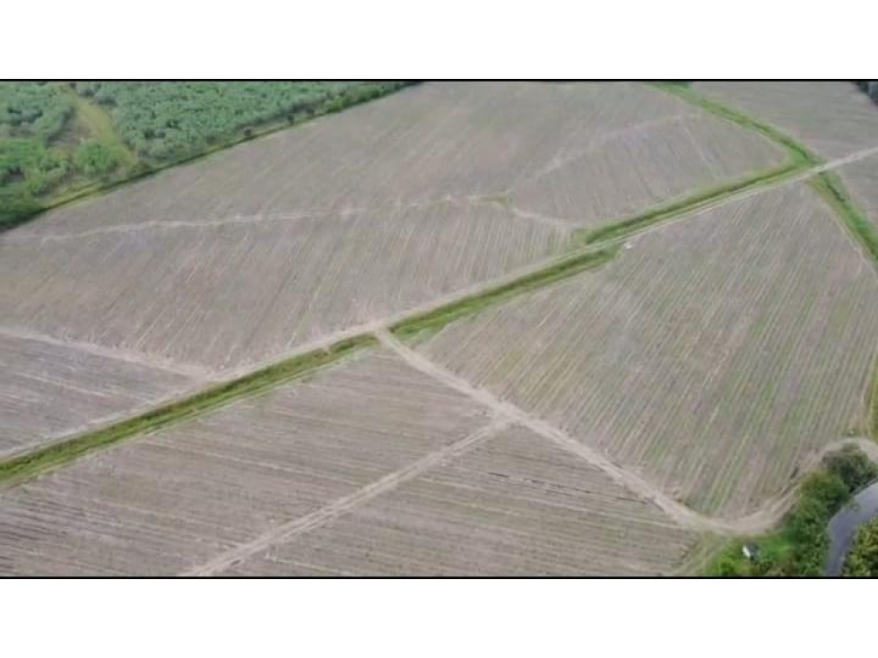 LOTE GUACHENE - 3
