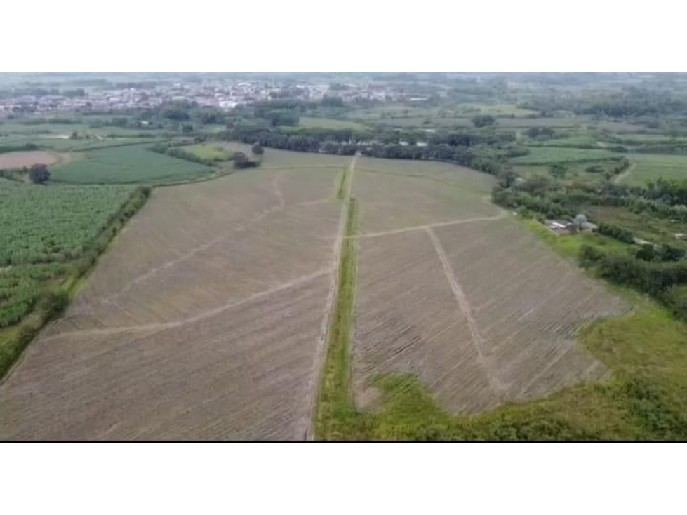 LOTE GUACHENE - 4