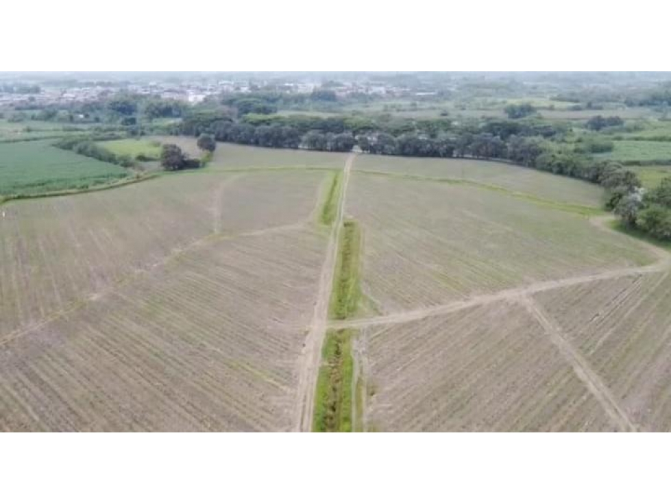 LOTE GUACHENE - 5