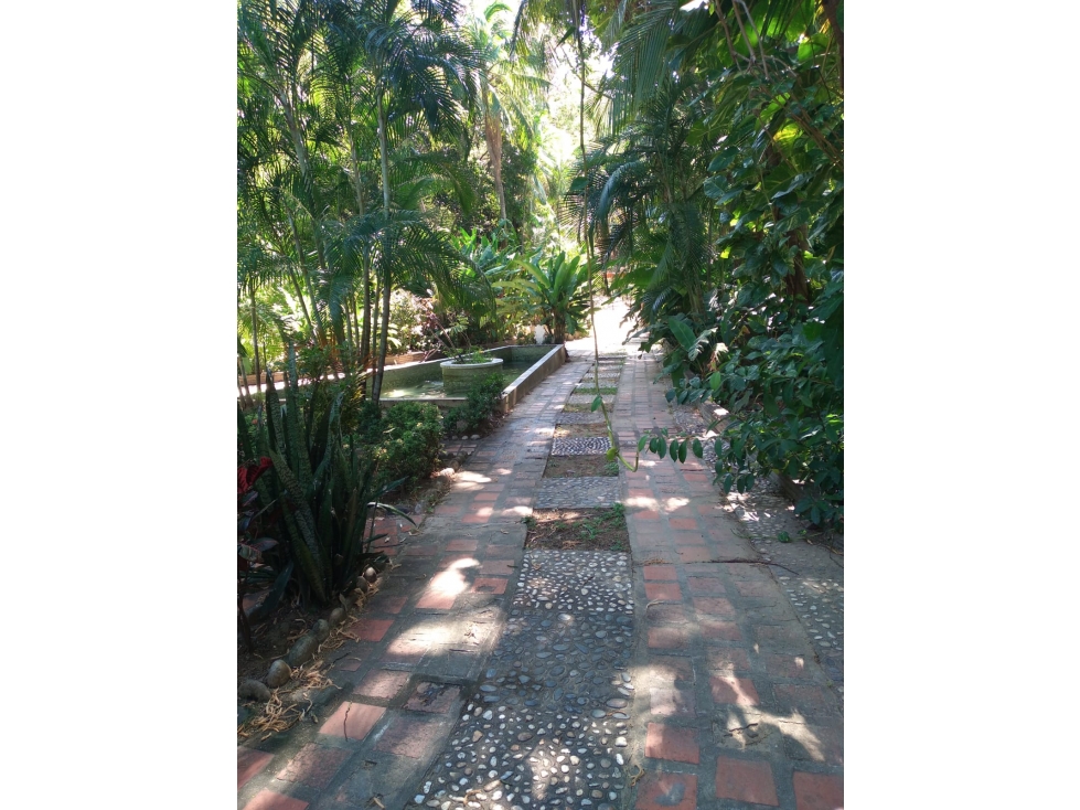 FINCA BONDA ABUNDANTES AGUAS Y FRUTALES — foto 6