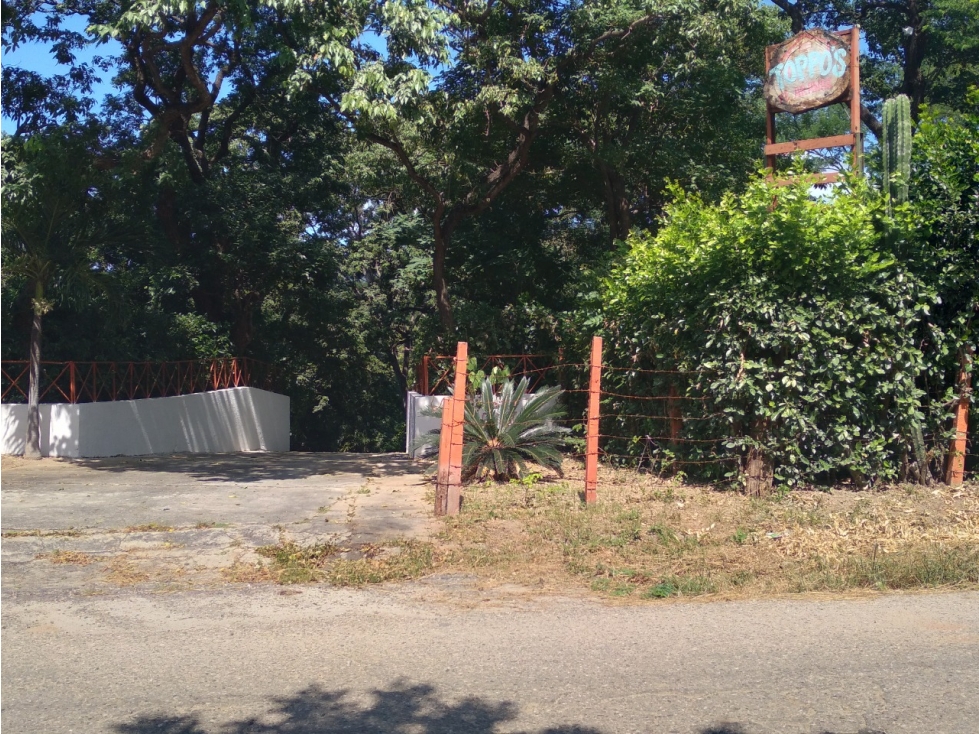 FINCA BONDA ABUNDANTES AGUAS Y FRUTALES — foto 5