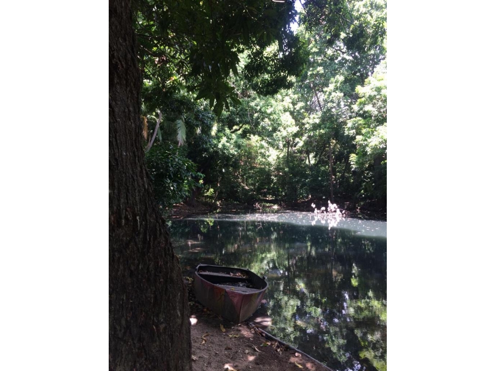 FINCA BONDA ABUNDANTES AGUAS Y FRUTALES — foto 2