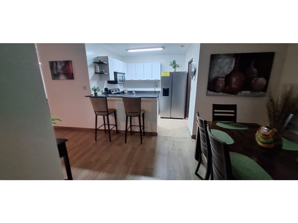 ALQUILER APARTAMENTO AMOBLADO AVENIDA BALBOA — foto 4