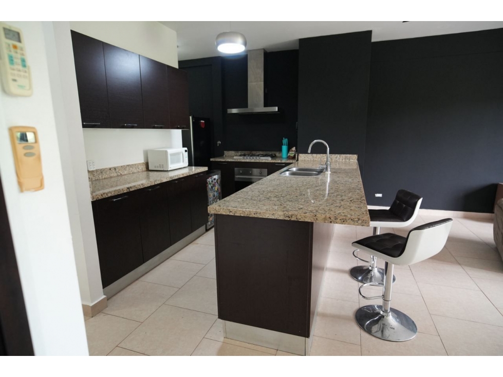 ALQUILER APARTAMENTO AMOBLADO PANAMA PACIFICO — foto 4