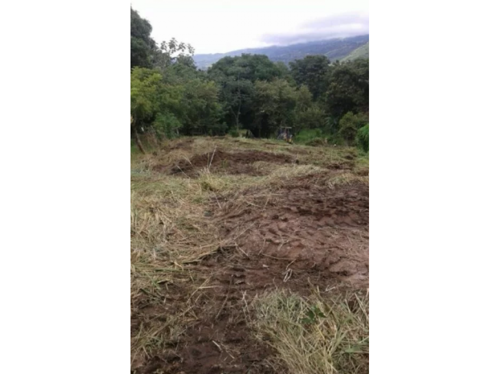 VENTA TERRENO CHAME