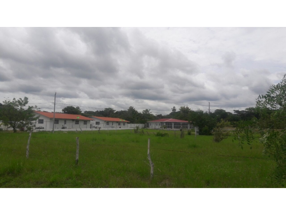 VENTA TERRENO RIO HATO - 2