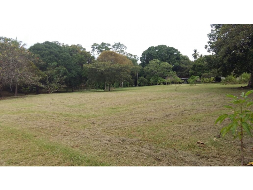 VENTA TERRENOS SAN CARLOS