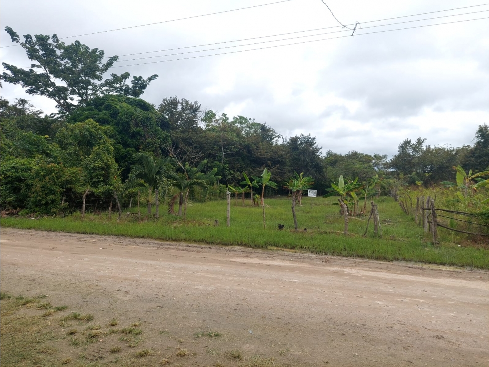 VENTA TERRENO PENONOME - 1