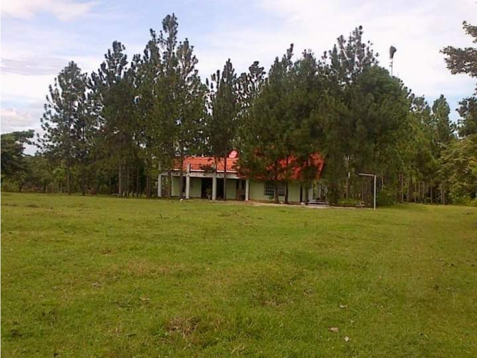 ALQUILER FINCA PLAYA BLANCA - 1