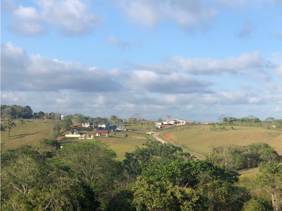 VENTA TERRENO CHORRERA