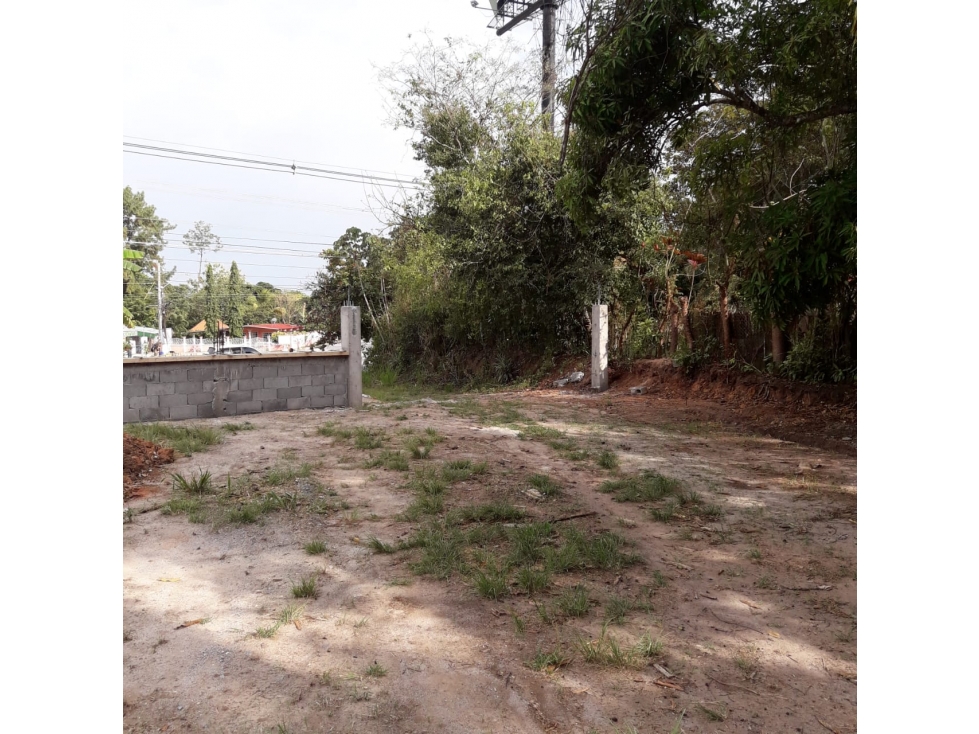 VENTA FINCA RIO HATO - 6