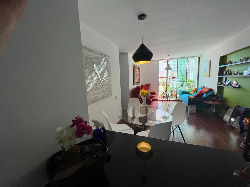 ALQUILER APARTAMENTO AMOBLADO PUNTA PACIFICA