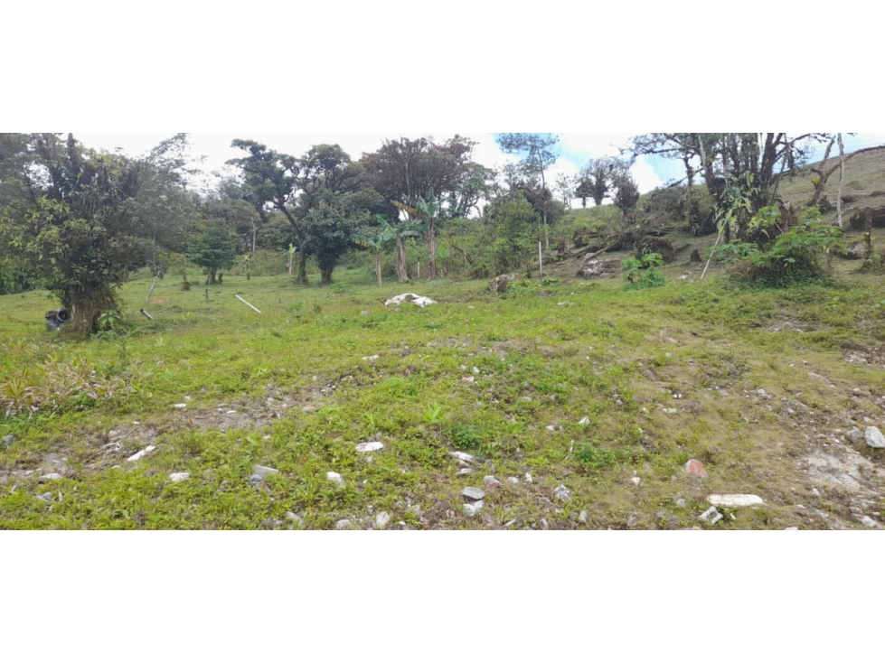 VENTA TERRENO CIRI GRANDE - 3