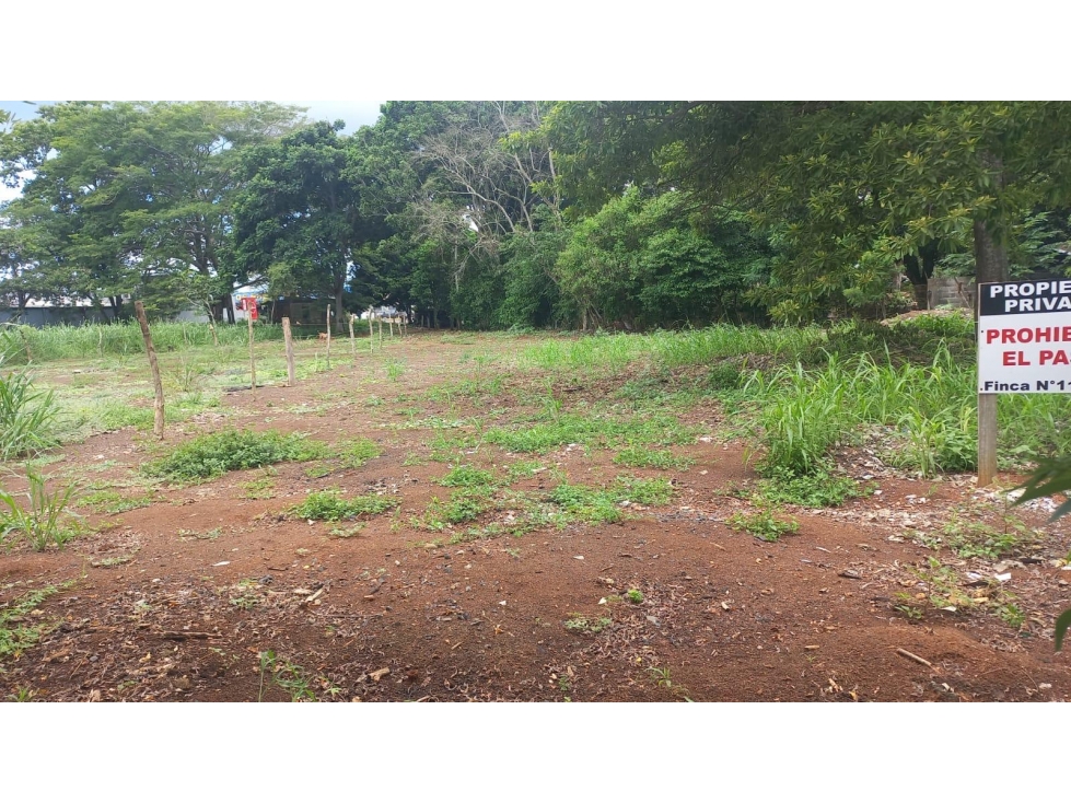 VENTA TERRENO LA CHORRERA