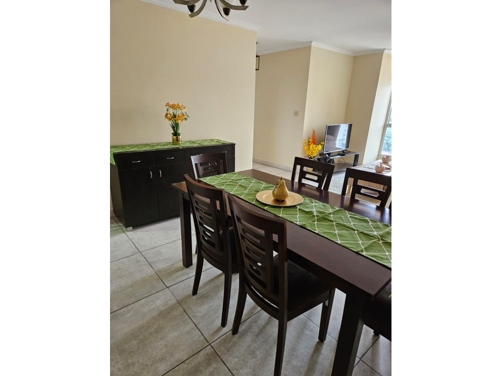 ALQUILER APARTAMENTO AMOBLADO BETANIA — foto 3