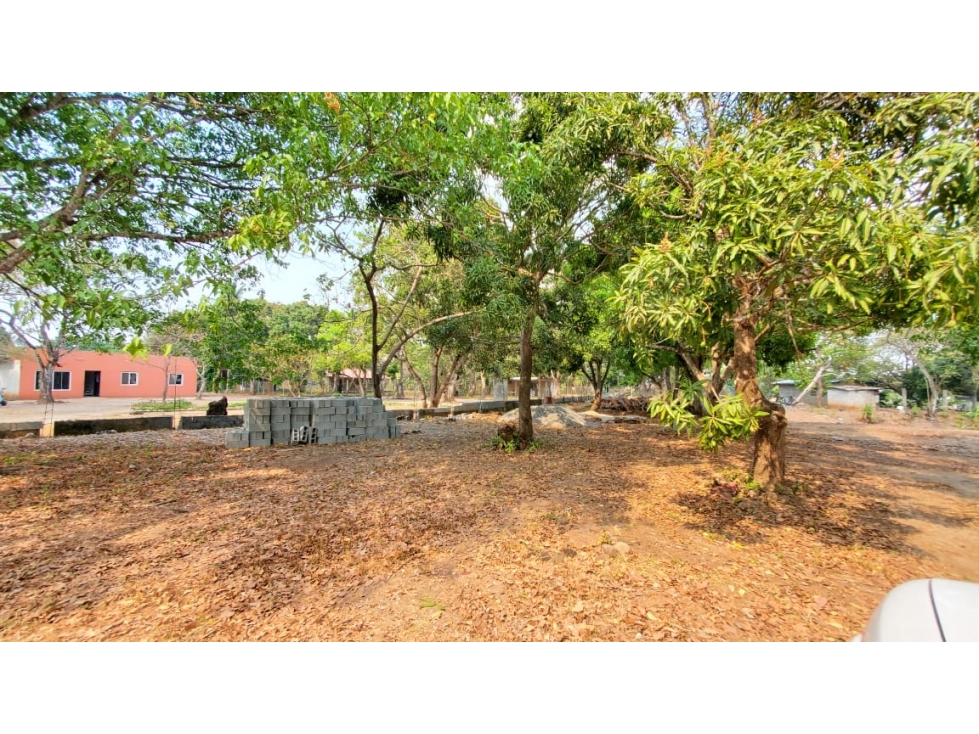 VENTA FINCA RIO HATO - 4
