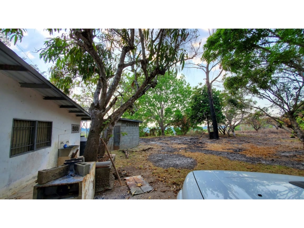 VENTA FINCA RIO HATO - 3