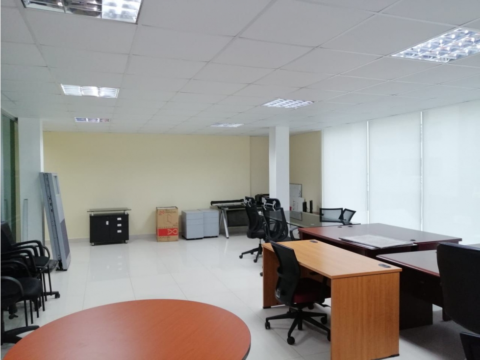 ALQUILER OFICINA EL CANGREJO - 3