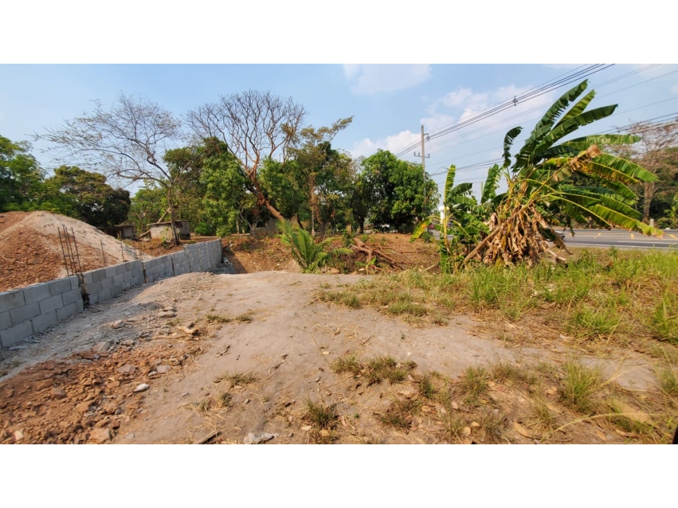 VENTA FINCA RIO HATO - 5