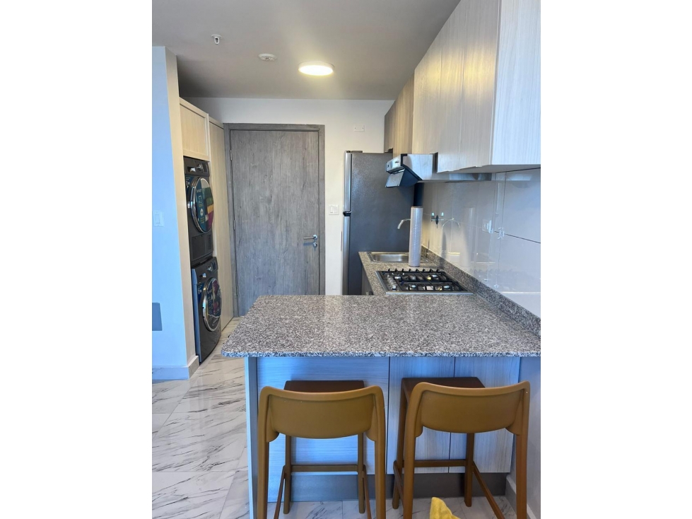 ALQUILER APARTAMENTO AMOBLADA AVENIDA BALBOA — foto 5