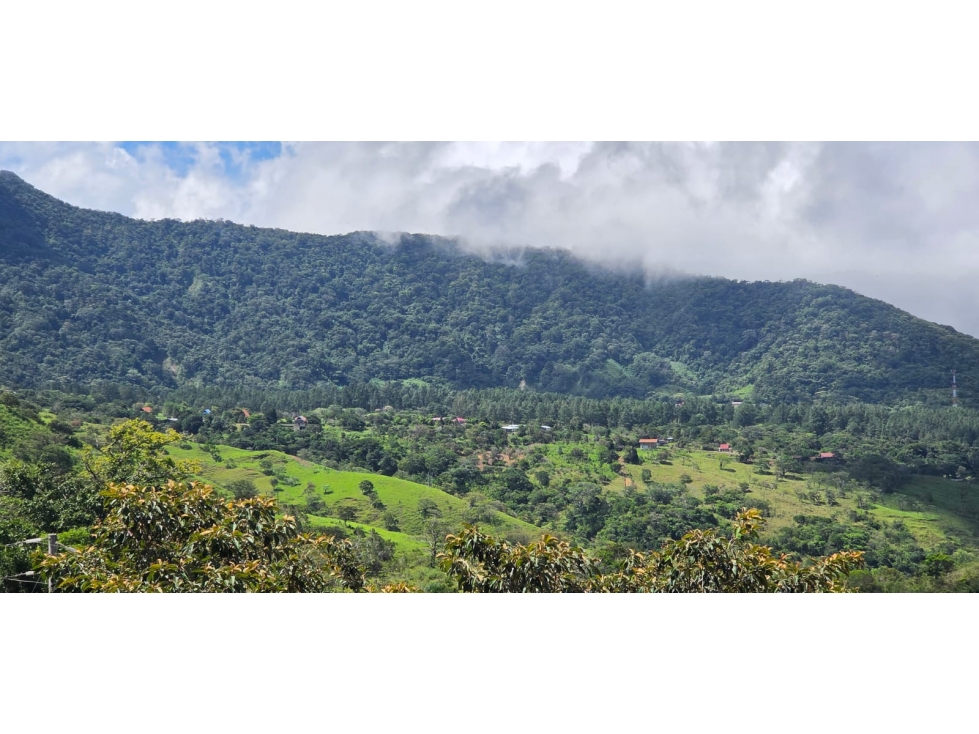 VENTA TERRENO GUALACA CHIRIQUI - 4