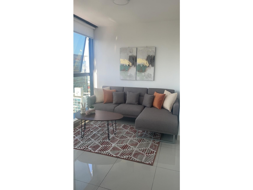 ALQUILER APARTAMENTO AMOBLADO OBARRIO — foto 2