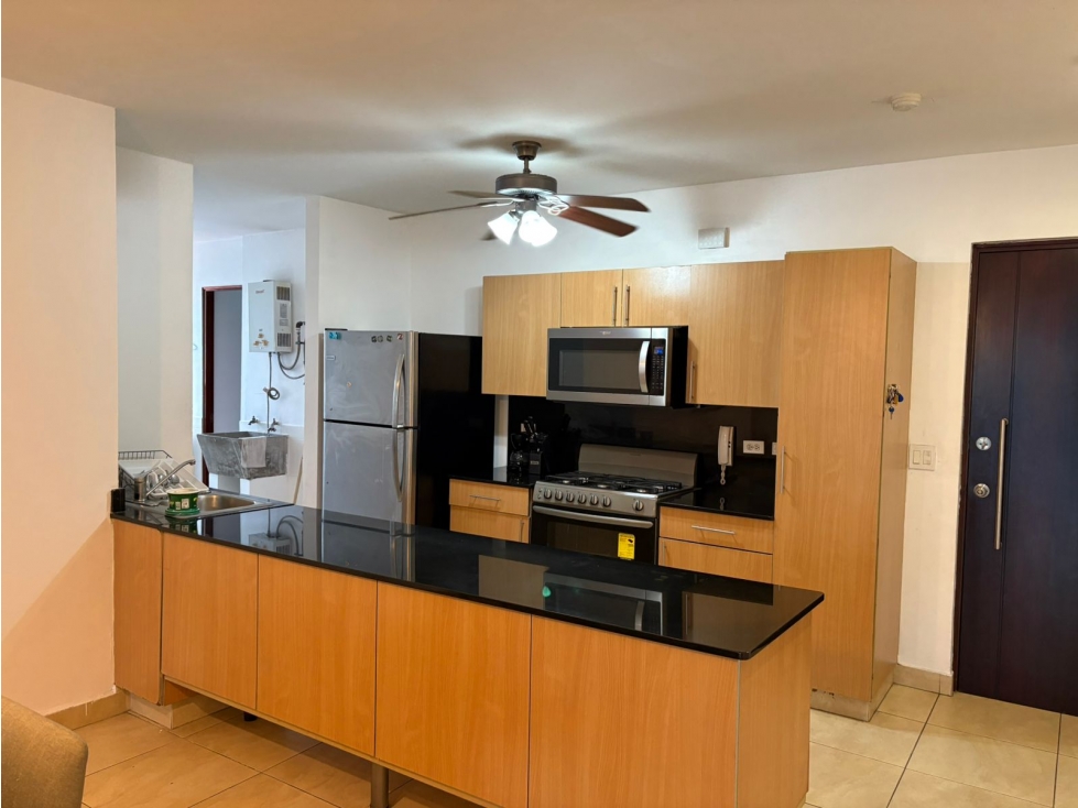 ALQUILER APARTAMENTO AMOBLADO EL CANGREJO — foto 4