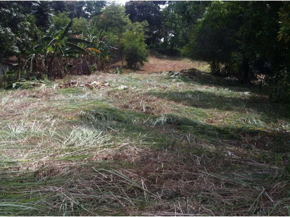 VENTA TERRENO CHILIBRE - 2