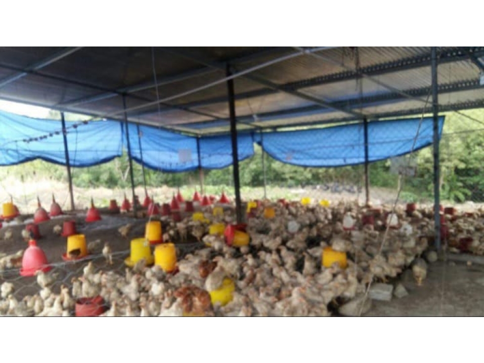 VENTA TERRENO CHEPO TORTI - 2