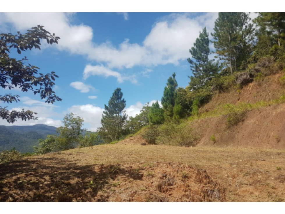 VENTA TERRENO ALTOS DE MARIA - 2