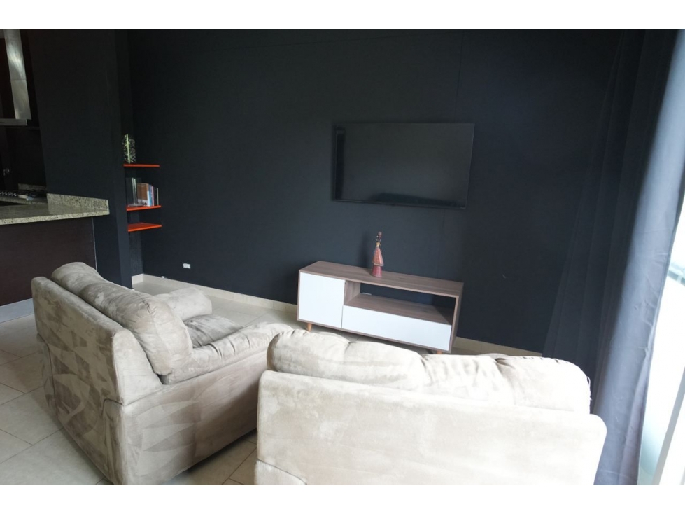 ALQUILER APARTAMENTO AMOBLADO PANAMA PACIFICO — foto 3