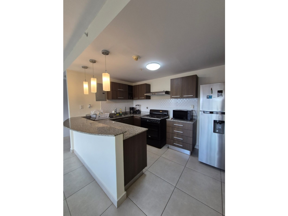 ALQUILER APARTAMENTO AMOBLADO PANAMÁ PACIFICO — foto 4