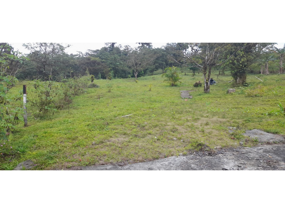 VENTA TERRENO CIRI GRANDE - 2