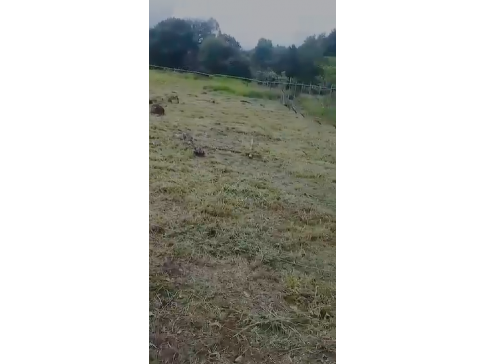 VENTA TERRENO VOLCAN - 1
