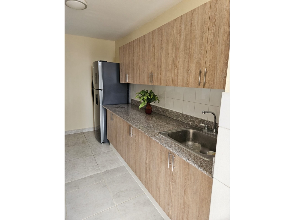 ALQUILER APARTAMENTO AMOBLADO BETANIA — foto 4