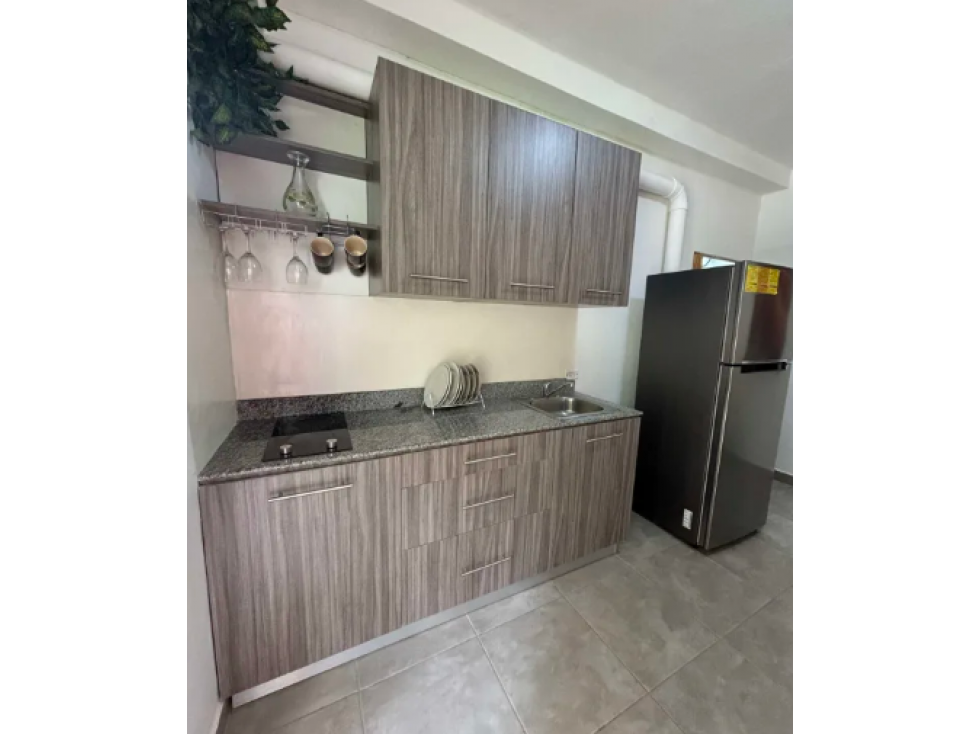 ALQUILER APARTAMENTO EN ALBROOK — foto 3