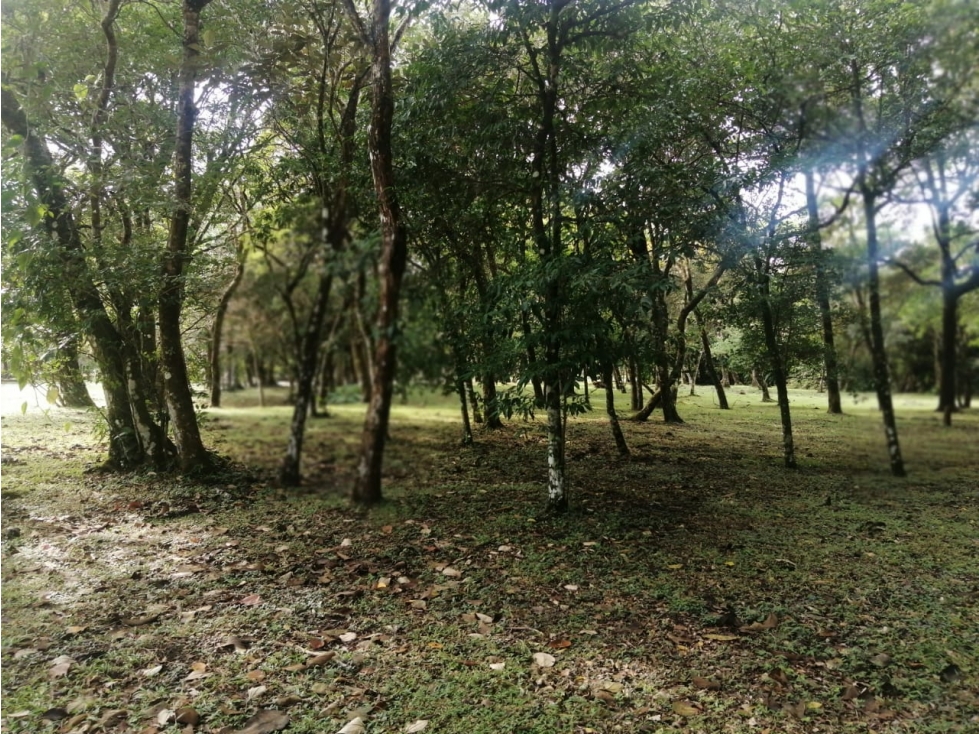 VENTA LOTE VALLE DE ANTON - 5