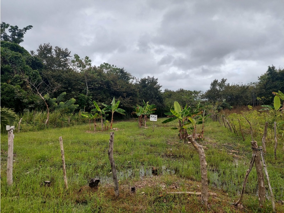 VENTA TERRENO PENONOME - 4