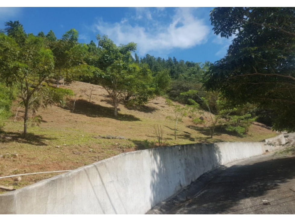 VENTA TERRENO ALTOS DE MARIA - 1