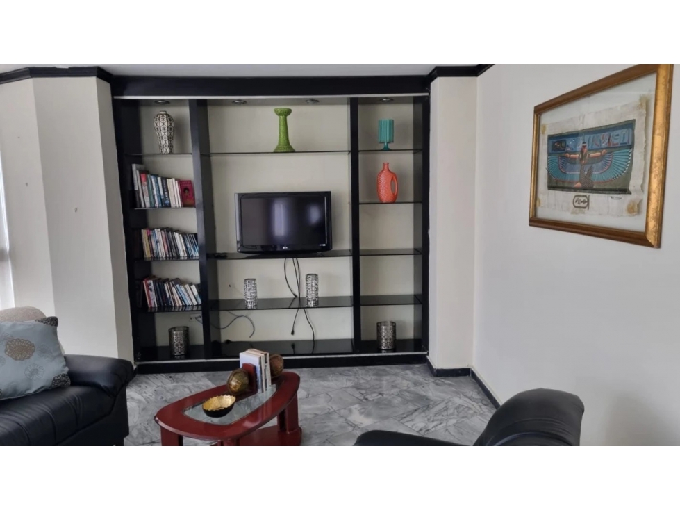 ALQUILER APARTAMENTO OBARRIO AMOBLADO — foto 4