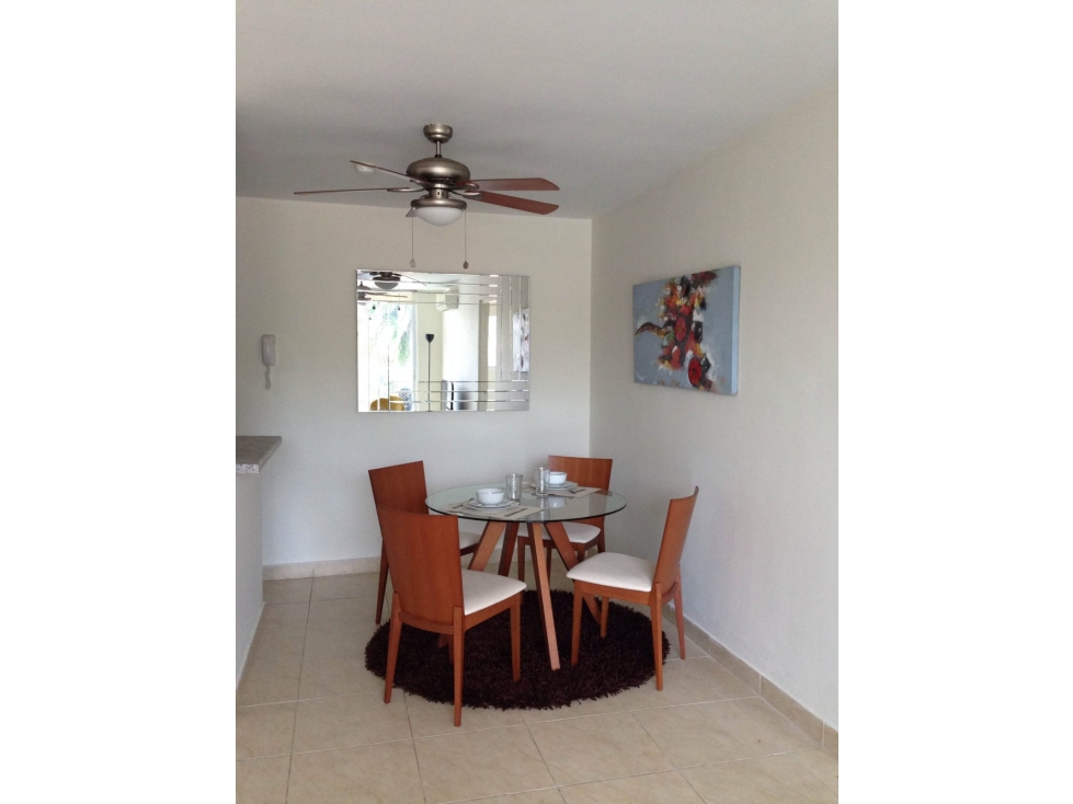 VENTA APARTAMENTO AMOBLADO ALBROOK — foto 2