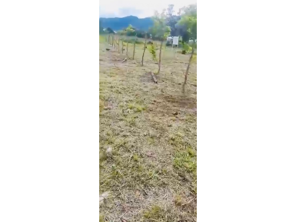 VENTA TERRENO VOLCAN - 3