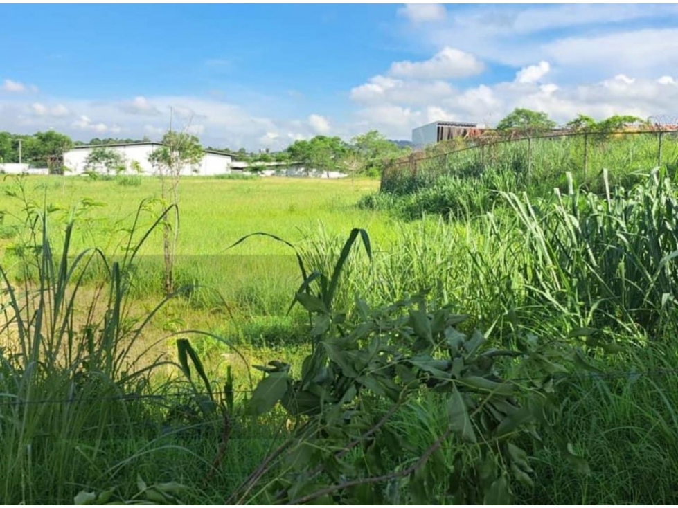 VENTA TERRENO RM2C2 24 DE DICIEMBRE 18854M2 — foto 4