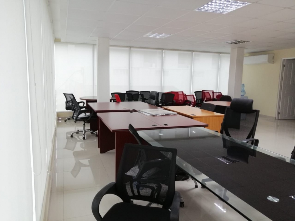 ALQUILER OFICINA EL CANGREJO - 4