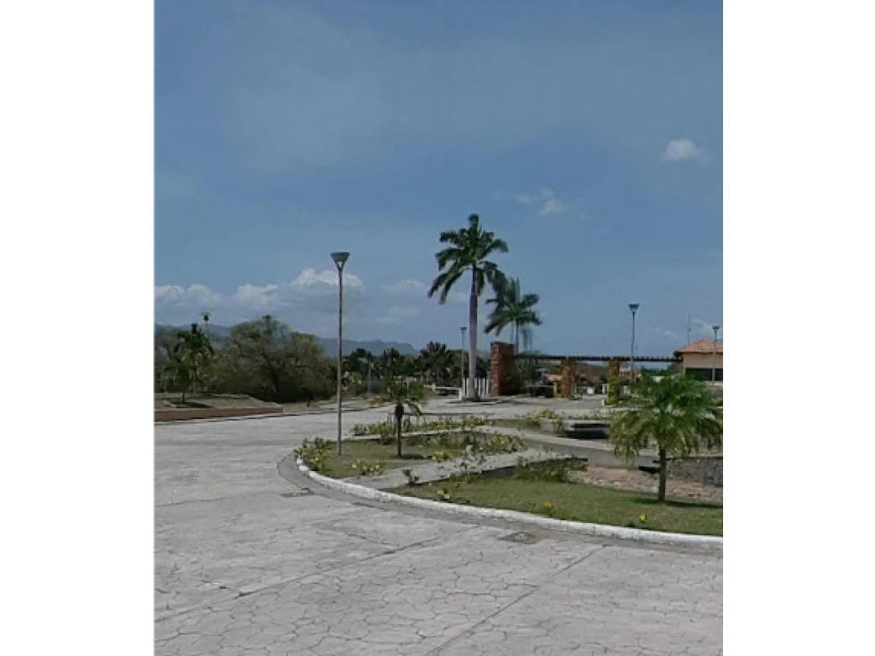 VENTA TERRENO NUEVA GORGONA - 2