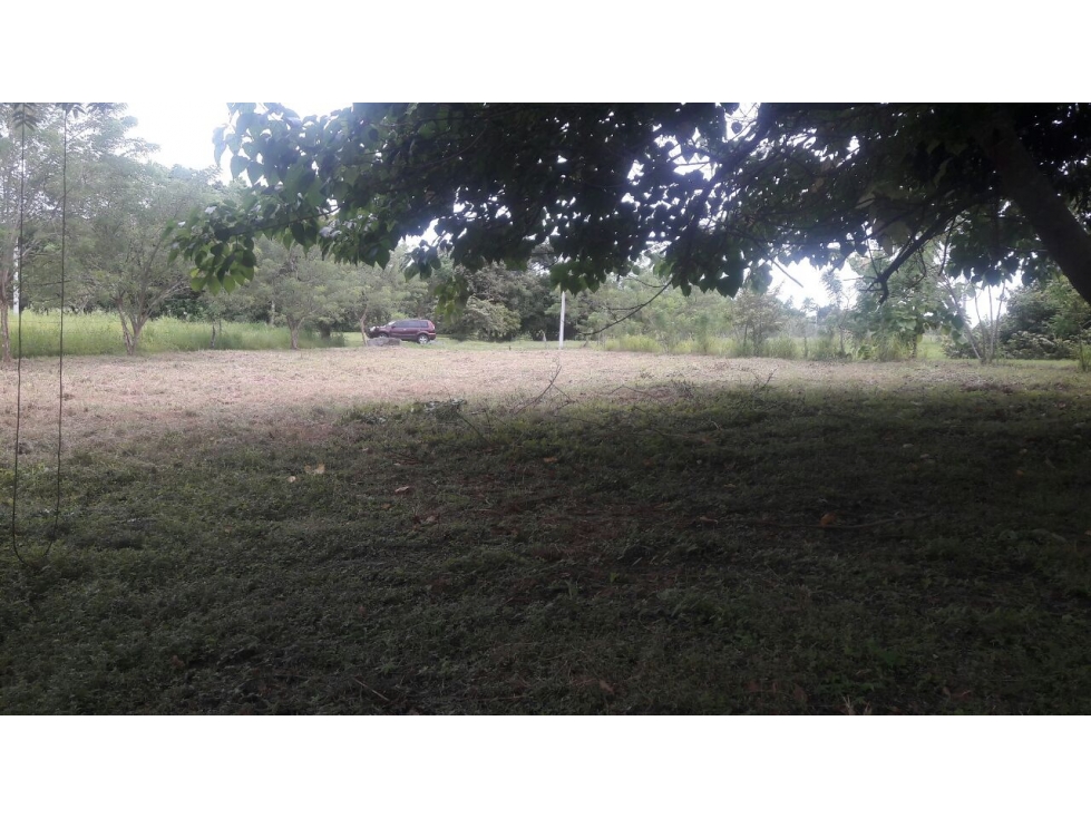 VENTA TERRENO RIO HATO - 6