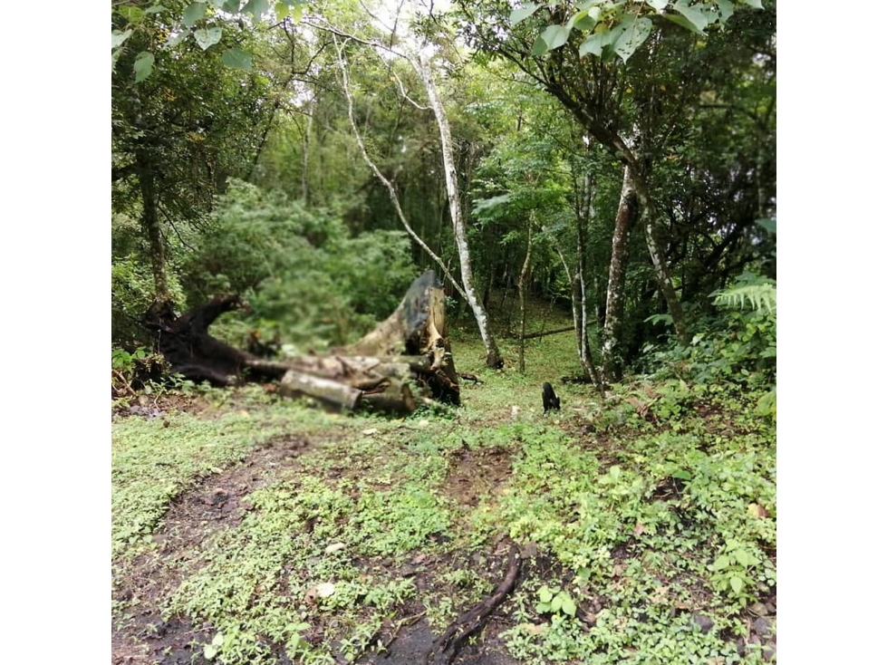 VENTA TERRENO PUEBLO VALLE DE ANTON - 4